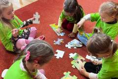 FB_IMG_1731225117701
