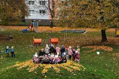 FB_IMG_1731225181841